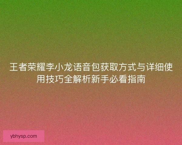 王者荣耀李小龙语音包获取方式与详细使用技巧全解析新手必看指南